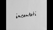“WAVELENGTHS 2: INCANTATI” (2016 presentation)